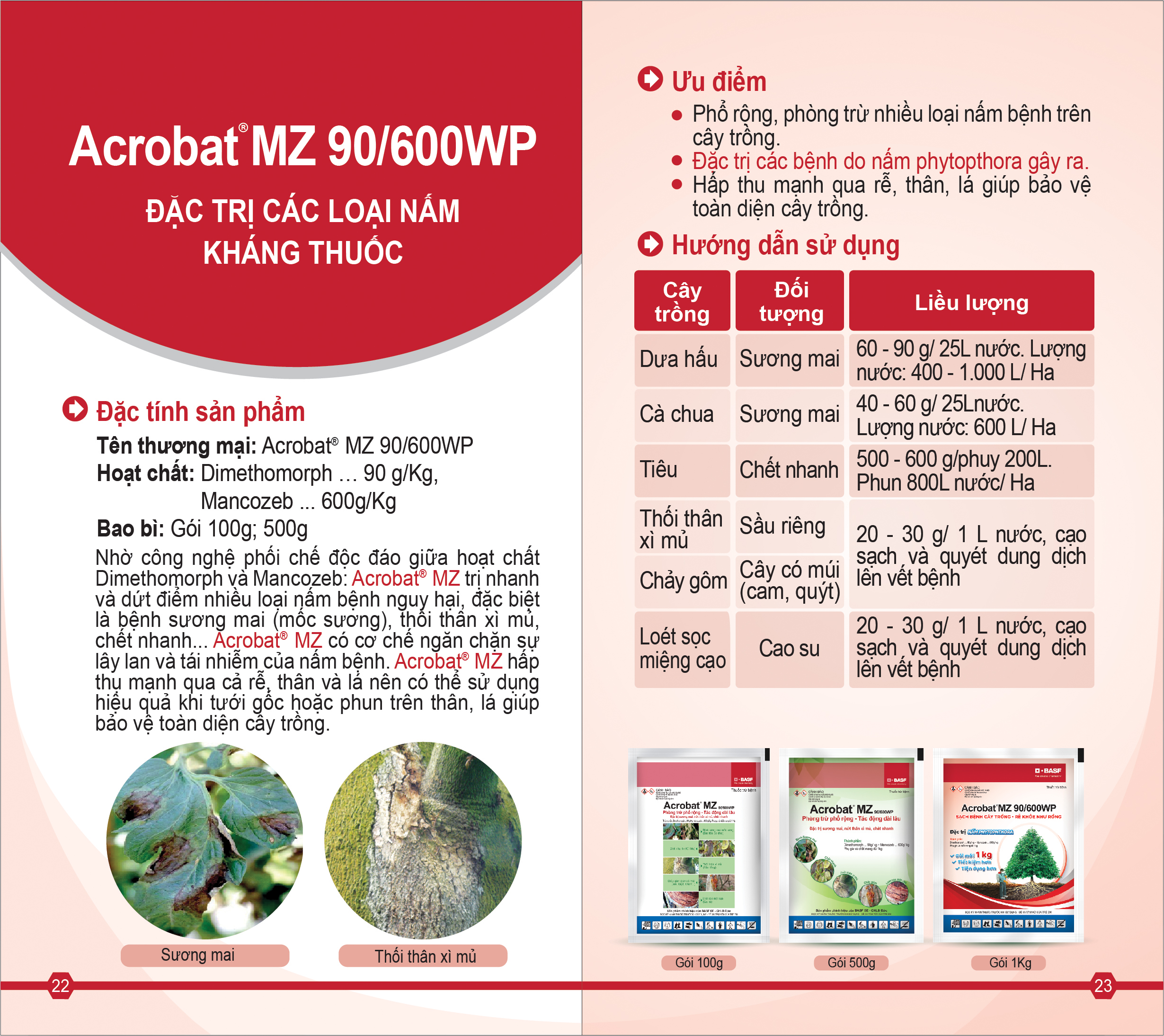  Acrobat® MZ 90/600WP đặc trị nhanh và dứt điểm nhiều loại bệnh nấm nguy hại 