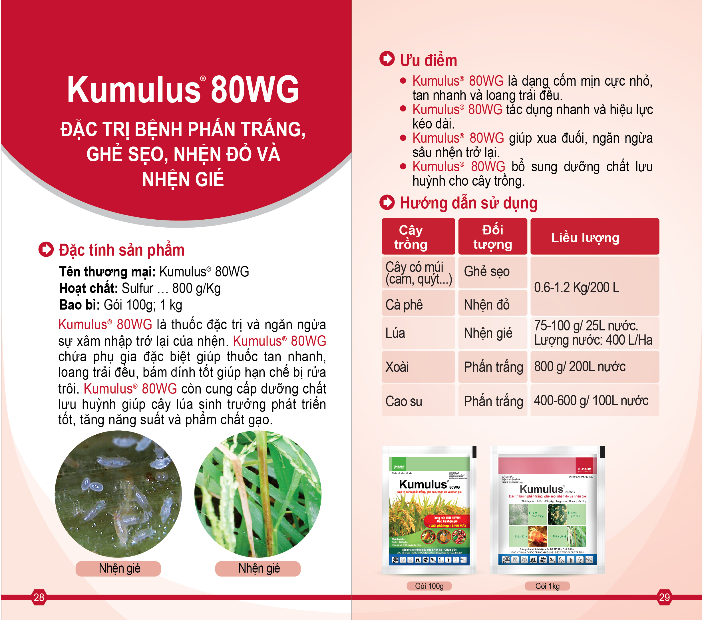 Kumulus® 80WG là thuốc đặc trị và ngăn ngừa sự xâm nhập trở lại của