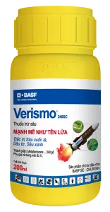 Versimo 240SC