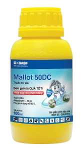 Mallot