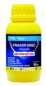 Priaxor