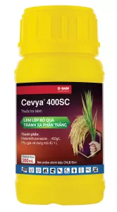 Chai Cevya