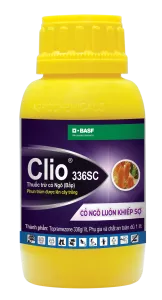 clio