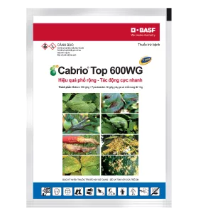 Thuốc trừ bệnh phổ rộng, tác động cực nhanh.
