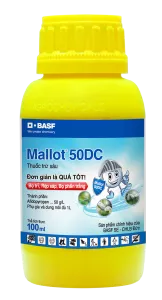 Mallot 50DC bottle