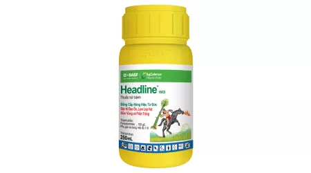 Headline 100CS