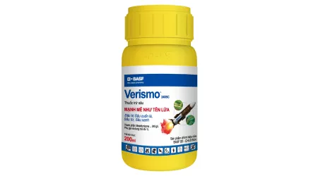 Versimo 240SC