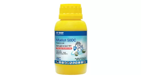 Mallot