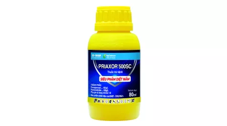 Priaxor