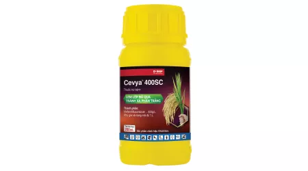 Chai Cevya