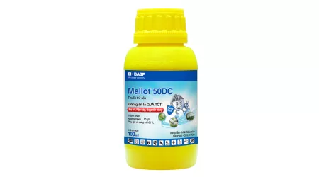Mallot 50DC bottle